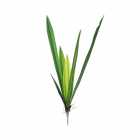 FOLHA DE ARTE COMPLEMET DE ORQUIDEA ARTIFICIAL SLIN 55CM