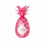  LICOR HOLAN PINAQ ROSE 50ML 