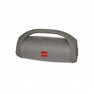 SPEAKER ECOPOWER EP-2350 CINZA BT/USB/SD/FM