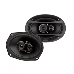 ALTO FALANTE 6X9 NAKAMICHI NSE-6918 260W/3VIAS