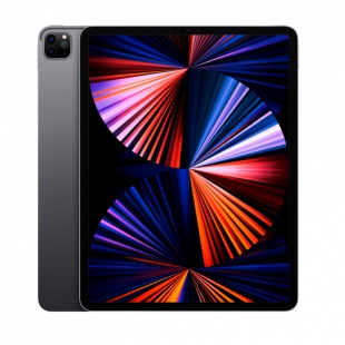 IPAD PRO APPLE 5TH 256GB SPACE GRAY
