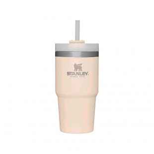 COPO TERMICO STANLEY ADVENTURE VEIGE 591ML COM TAMPA/CANUDO