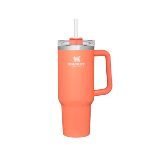 GARRAFA TERMICA STANLEY TRAVEL QUENCHER GUAVA 1.18L C/TAMPA E CANUDO