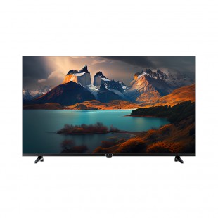 TV LED 65