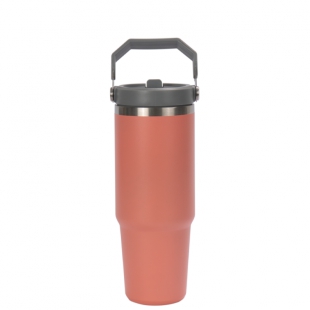 GARRAFA TERMICA LU STAR PLUS LU4001 GUAVA 1LT