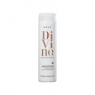 CONDICIONADOR BRAE DIVINE ABSOLUTELY SMOOTH ANTI FRIZZ 250ML
