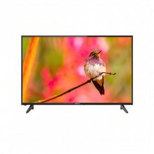 TV LED 50
