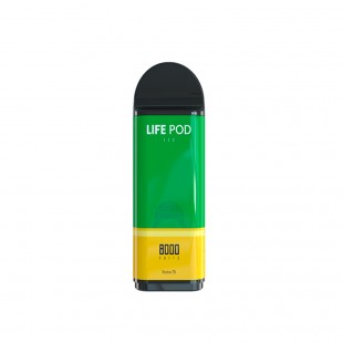 VAPE CARGA LIFE POD CARTRIDE 8000 PUFF LEMON MINT