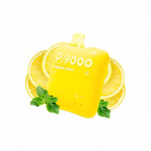 CIGARRO DESC POD ELF BAR PI-9000 9000PUFF LEMON MINT 5% 15ML