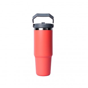 GARRAFA TERMICA LU STAR PLUS LU4001 GUAVA 1LT