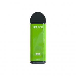 VAPE CARGA LIFE POD CARTRIDE 8000 PUFF SPEARMINT