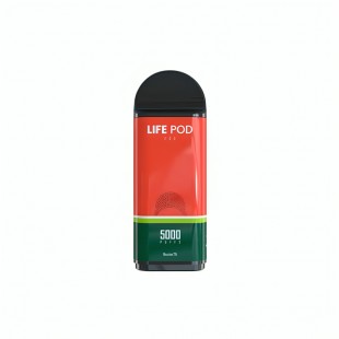 VAPE CARGA LIFE POD ECO 5000PUFF WATERMELON ICE