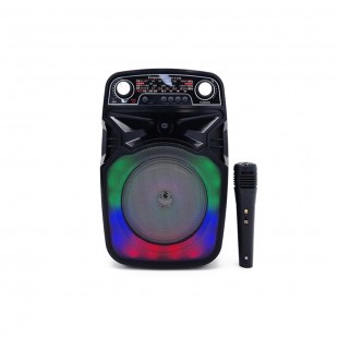 RADIO PORTATIL ECOPOWER EP-F33 BT/USB/TF/FM/AM/MIC