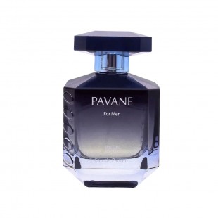 ELODIE ROY PAVANE INTENSE MAN 100ML EDP