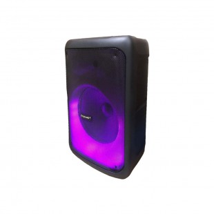 CAIXA DE SOM ECOPOWER EP-1909 12
