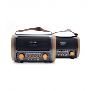 RADIO PORTATIL ECOPOWER EP-F235 PRETO