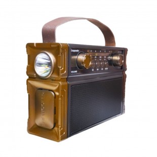 RADIO PORTATIL ECOPOWER EP-F246B DORADO BT/USB/FM