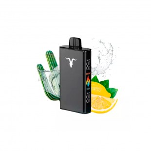 CIGARRO POD IGNITE V250 25000PUFF BLACK CACTUS LIME SODA