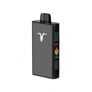 CIGARRO POD IGNITE V250 25000PUFF BLACK MINTY MELON