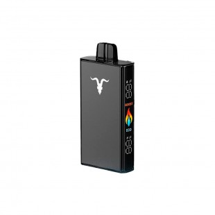 CIGARRO DESCARTAVEL POD IGNITE V250 25000PUFF BLACK WATERMELON MIX