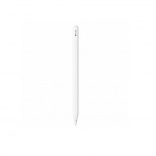 CANETA APPLE PENCIL USB-C MUWA3ZA/A IPAD WHITE 10TH/AIR