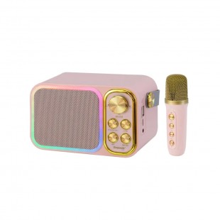 	SPEAKER ECOPOWER EP-2112 ROSA BT/USB/FM/AUX