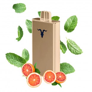 CIGARRO POD IGNITE V80 8000PUFF GOLD GRAPEFRUIT MINT