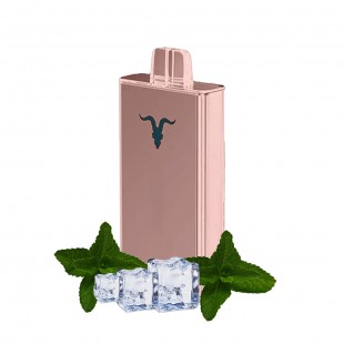 CIGARRO POD IGNITE V80 8000PUFF ROSE ICY MINT