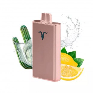 CIGARRO POD IGNITE V250 25000PUFF ROSE CACTUS LIME SOSA