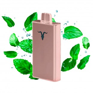 CIGARRO POD IGNITE V250 25000PUFF ROSE MENTOL