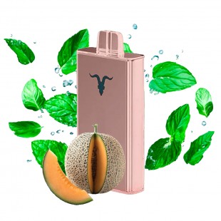 CIGARRO POD IGNITE V250 25000PUFF ROSE MINTY MELON