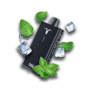 CIGARRO POD IGNITE P100 PRO 10000PUFF KIT BLACK ICY MINT