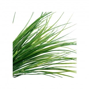 FOLHA DE ARTE COMPLEMET ARTIFICIAL SLIN 60CM