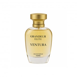 GRANDEUR ELITE VENTURA FEM 100ML EDP