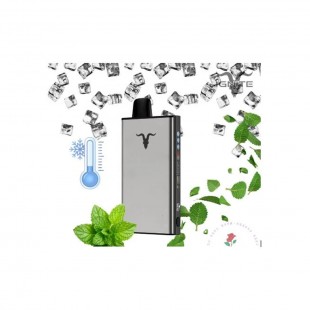 CIGARRO DESCARTÁVEL POD IGNITE V400 SWEET COOL MENTHOL