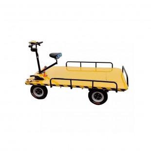 CARRINHO TRANSPORTADOR ELETRICO 48W 20AMP 165KG