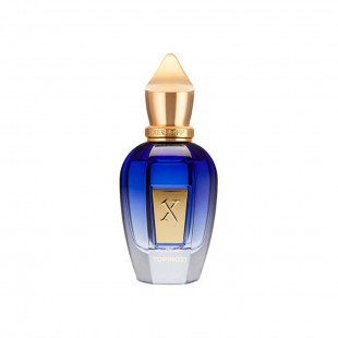 XERJOFF TORINO21 UNISSEX 1000ML