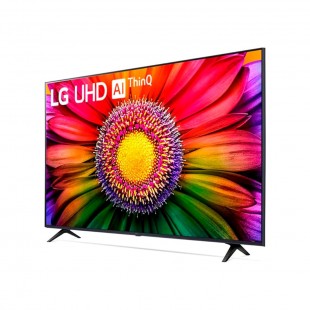 TV LED 55